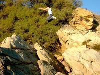 DSCF2427-color.jpg