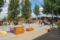 DSC_3622-(Large).jpg